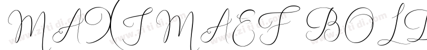 MAXIMAEF BOLD字体转换